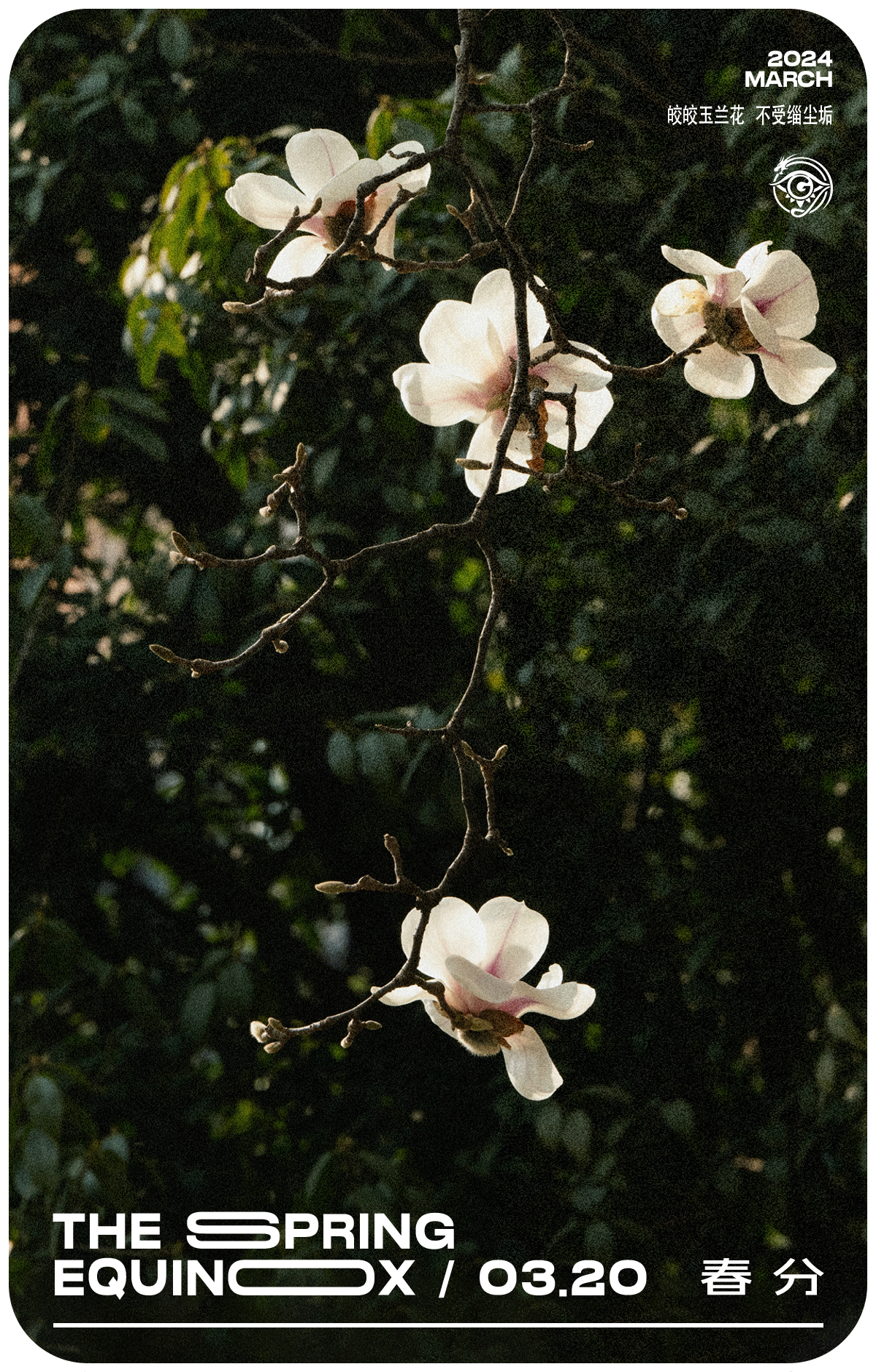 二十四番花信風·春分篇